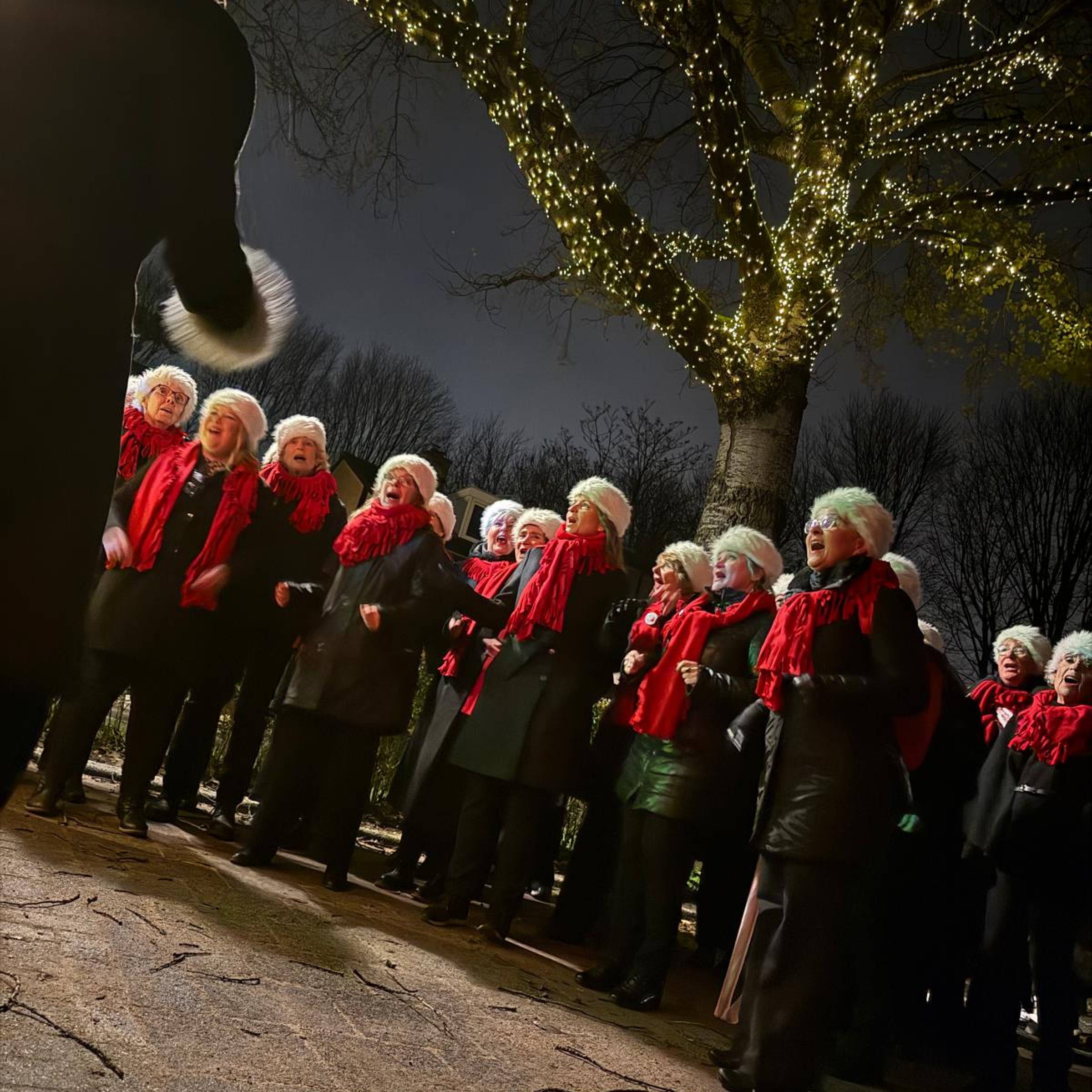 Middenhoeve sprankelt met Route Sixteen